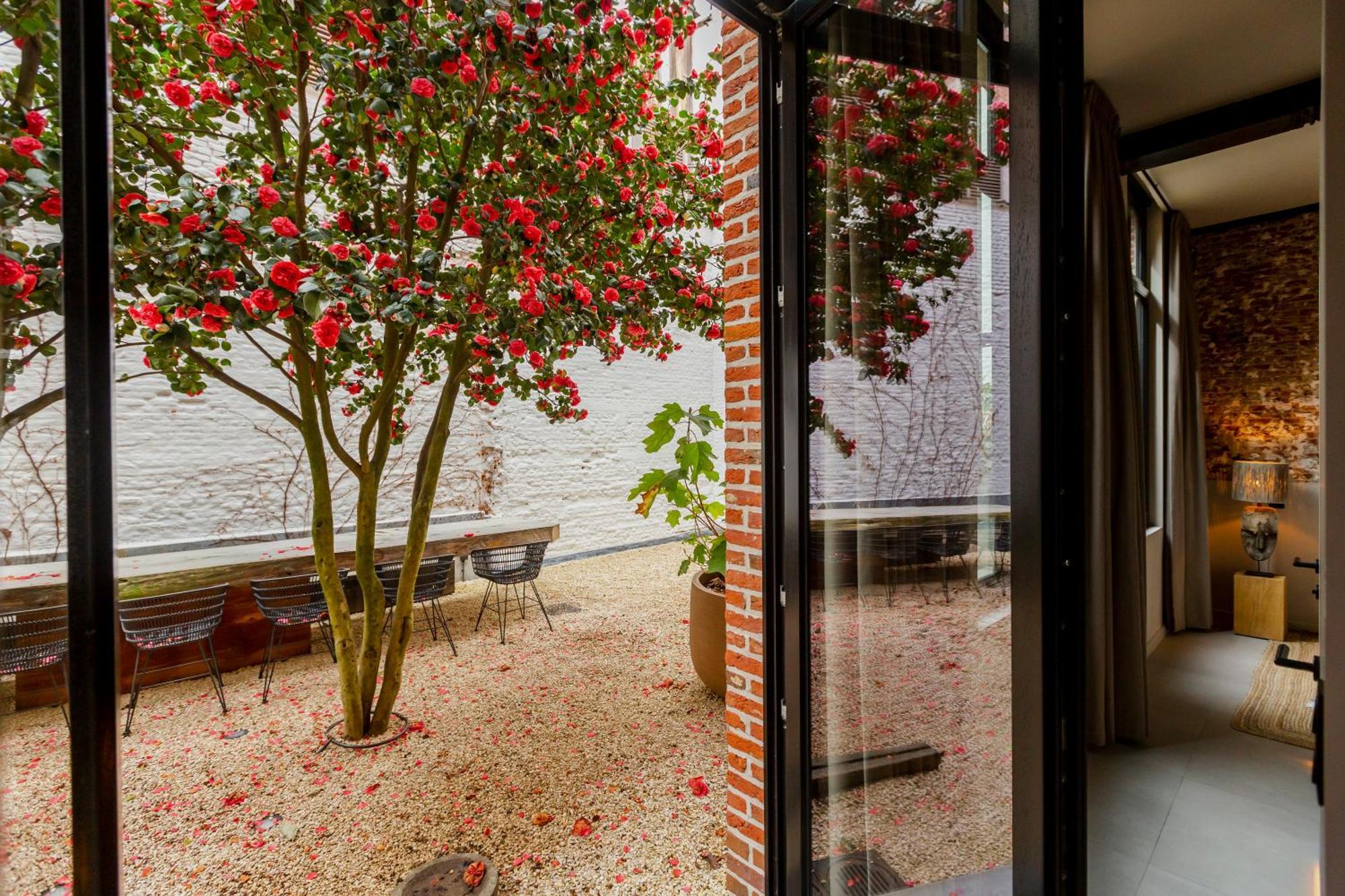 Btfl Living Antwerp 아파트 외부 사진